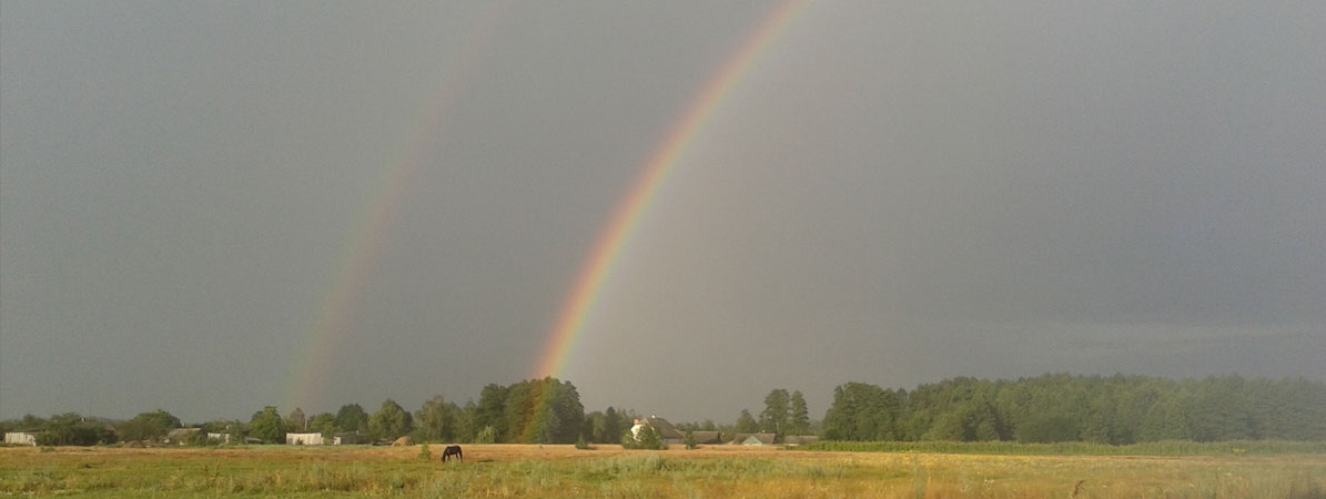 Замшани райдуга